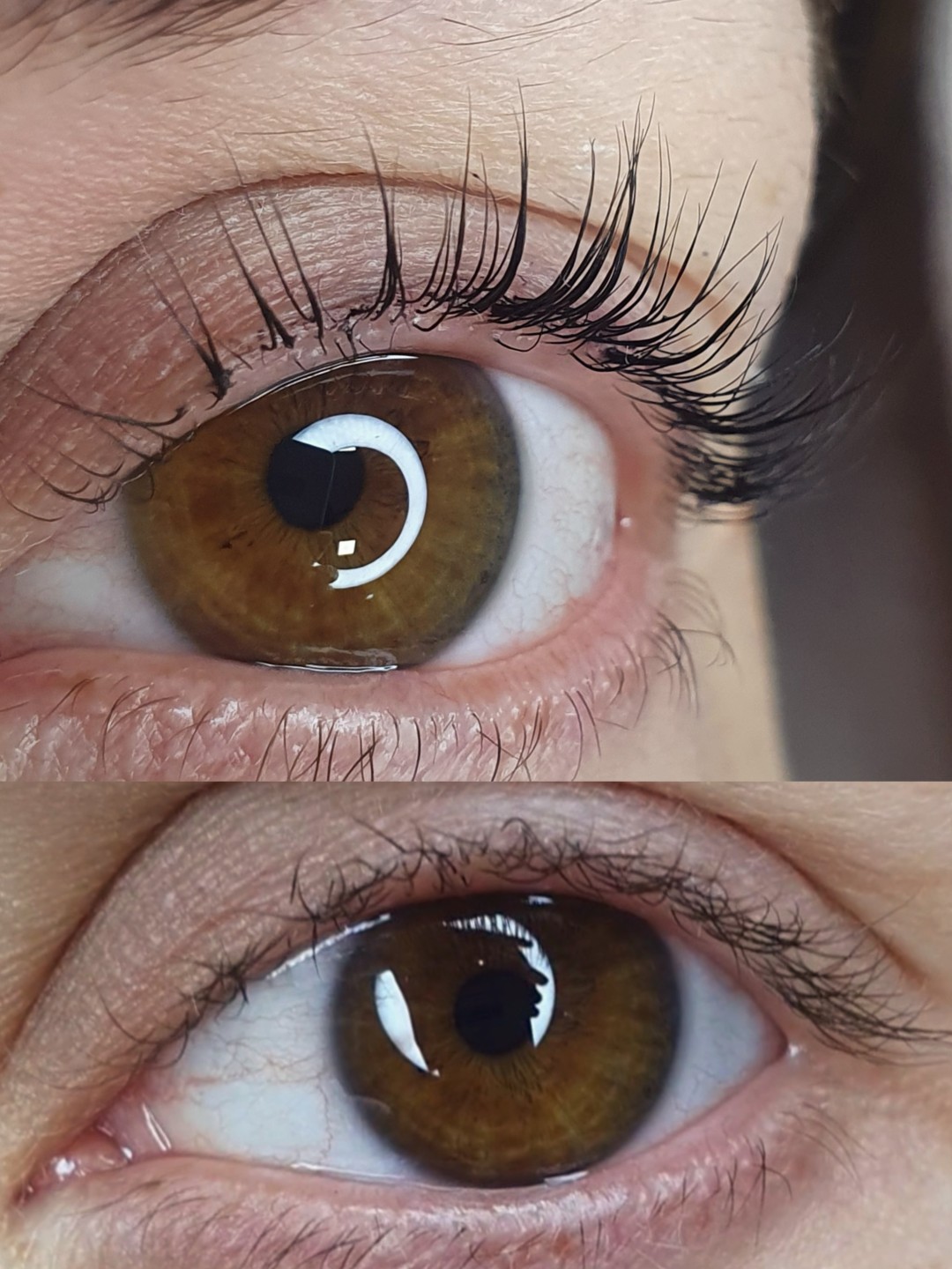 Studio O #novisad Trepavice Laminacija trepavica + botoks nega