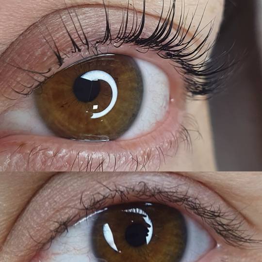 Studio O #novisad Trepavice Laminacija trepavica + botoks nega