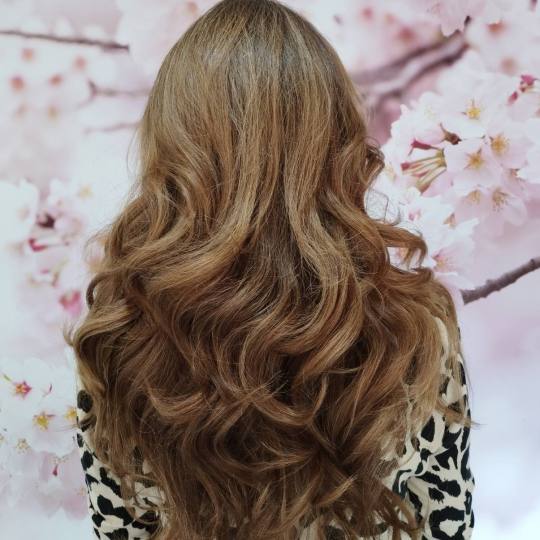 Dve mace 1 #beograd Feniranje i stilizovanje Feniranje na lokne - ekstra duga kosa