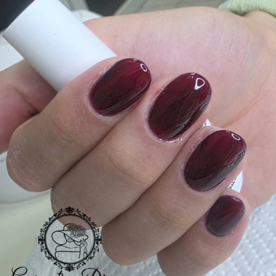 Gospođica Draga usluga