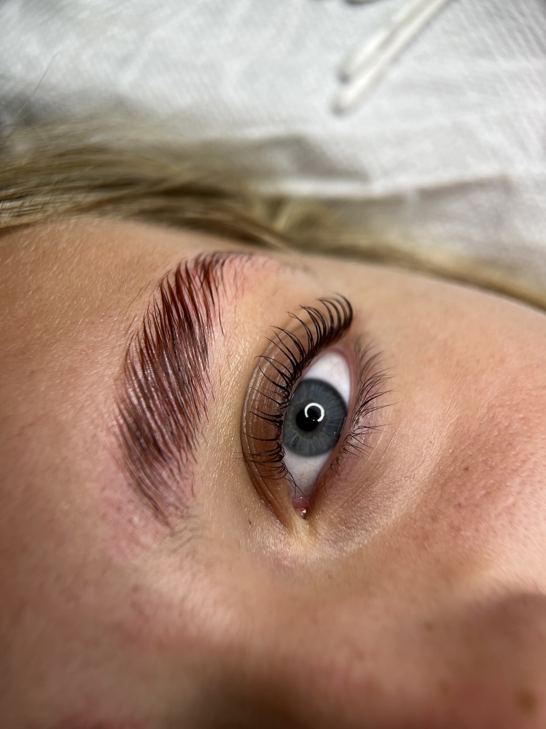 Mur beauty studio #beograd Obrve Brow lift + lash lift
