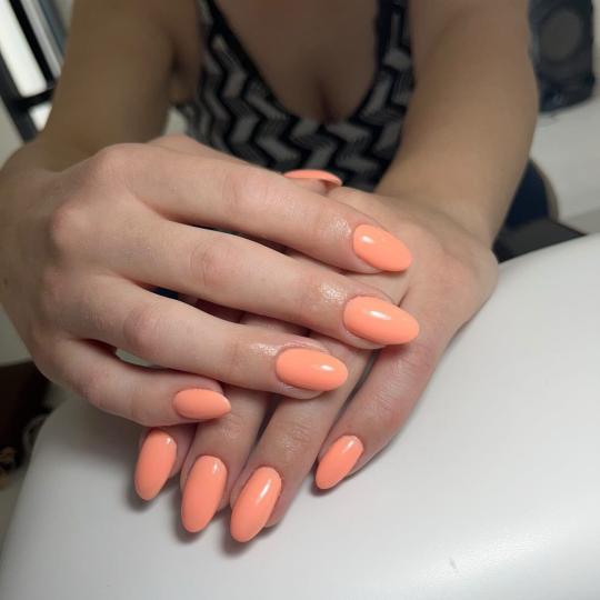 Hair studio Mari #beograd
