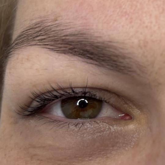 City Hair #novisad Lash lift Lash lift