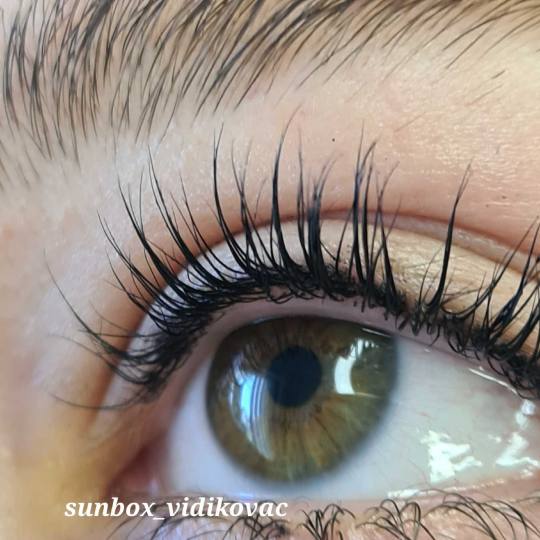 SunBox #beograd Trepavice Lash lift