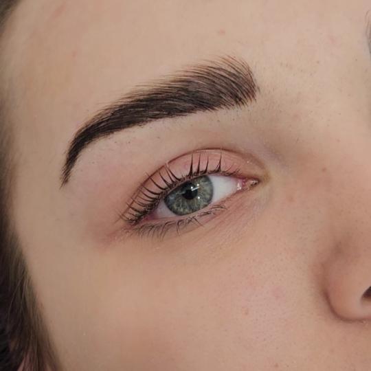 Latina beauty studio #beograd Obrve Brow lift + farbanje obrva