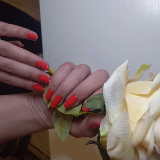 Adiantum Estetik Centar #nis Gel lak Gel lak - ruke Gel lak ??