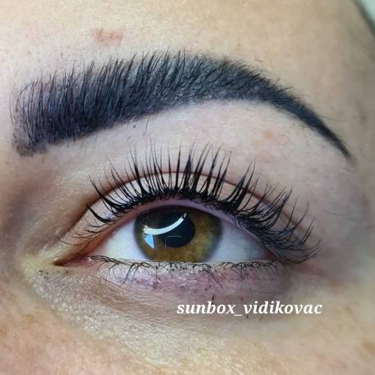 SunBox #beograd Obrve Lash lift + brow lift Lashlift + Browlift sa farbanjem obrva