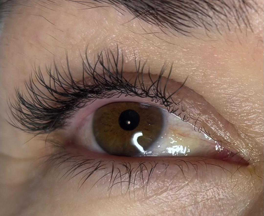 Angels #novisad Obrve Nadogradnja trepavica 1:1