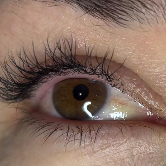 Angels #novisad Obrve Nadogradnja trepavica 1:1