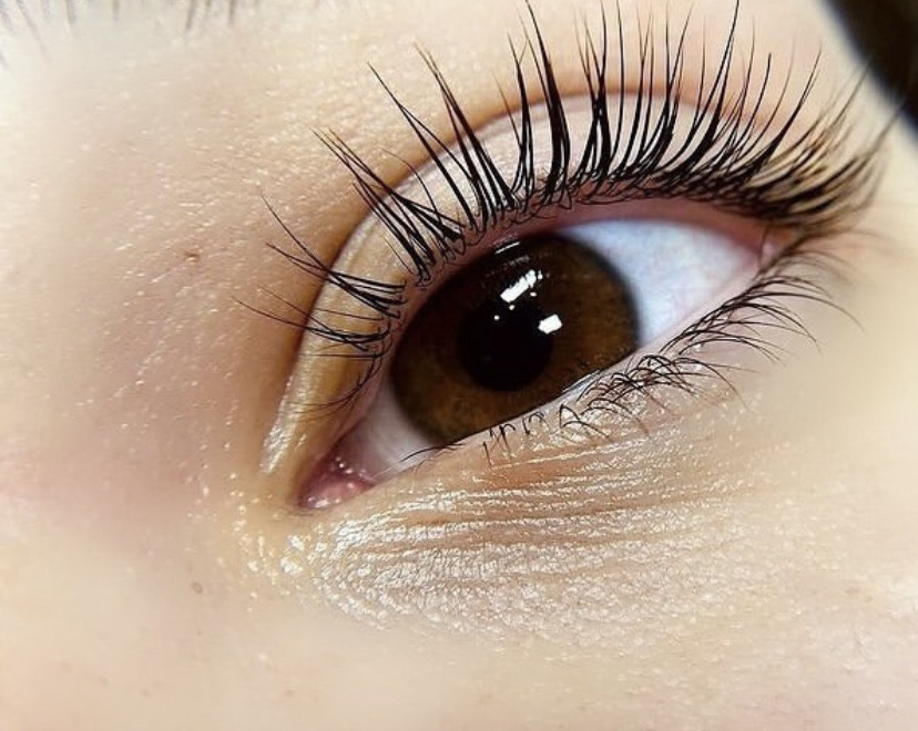 Elite Studio Piccolo #beograd Trepavice Lash lift + botox + farbanje
