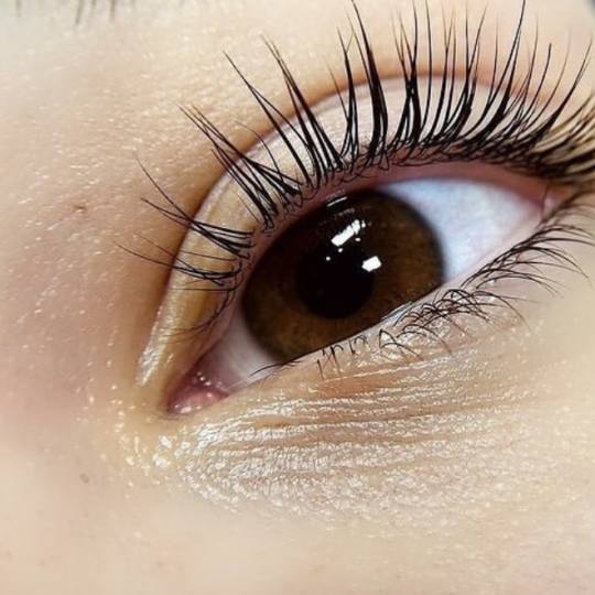 Elite Studio Piccolo #beograd Trepavice Lash lift + botox + farbanje