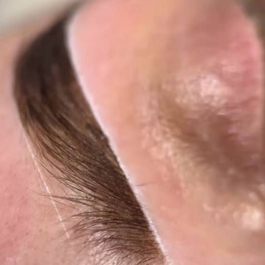 Hermanita beauty studio #beograd Obrve Farbanje obrva kanom