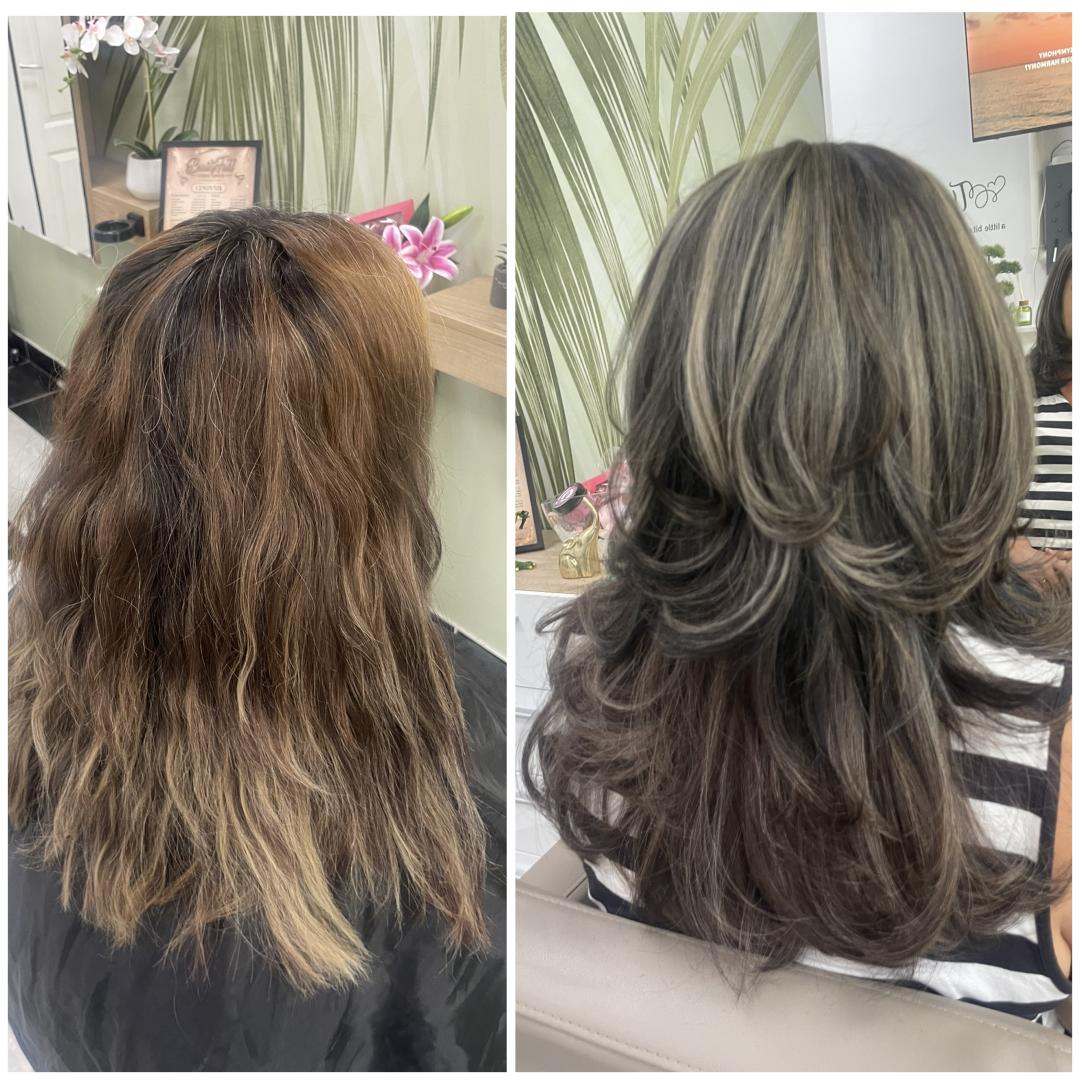 BeautyFull Studio Lepote #novisad Pramenovi Pramenovi full +feniranje- duga kosa