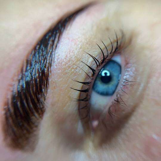 Golden beauty by Mimi #nis Trepavice Lash lift + Brow lift