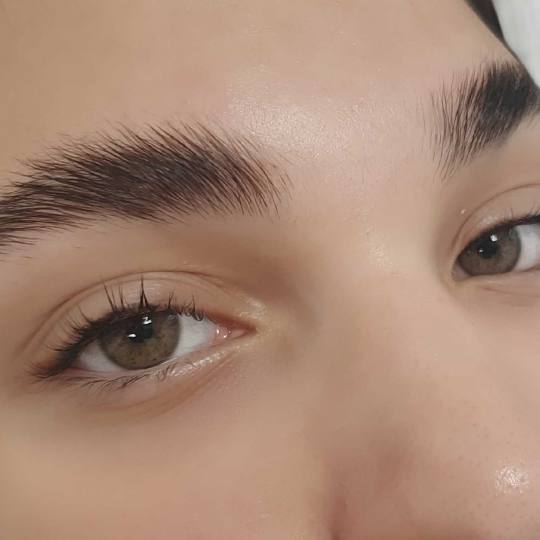 Felicita #beograd Obrve Brow lift
