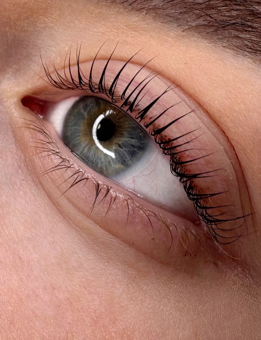 L’Avenue #beograd Trepavice Korejski lash lift sa farbanjem