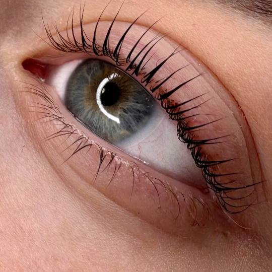 L’Avenue #beograd Trepavice Korejski lash lift sa farbanjem