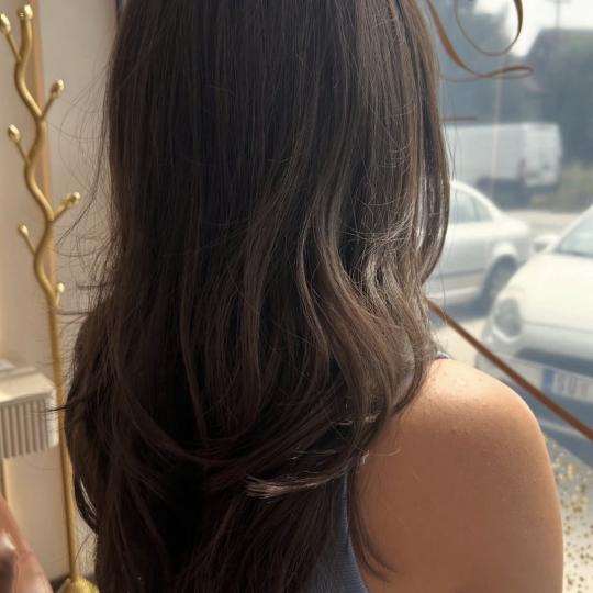 Diamond Beauty #beograd Feniranje i stilizovanje Feniranje na ravno - duga kosa