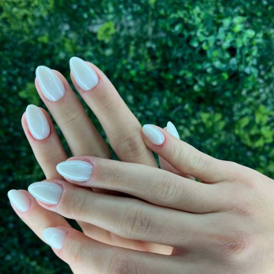 Estetic Studio 7 usluga