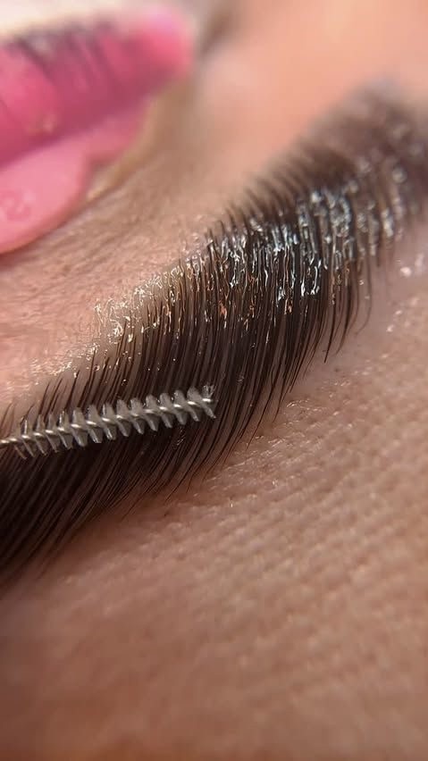 Lion King #beograd Obrve Brow lift