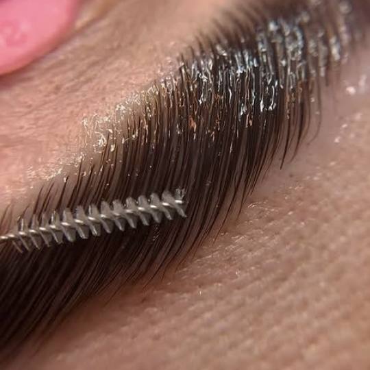 Lion King #beograd Obrve Brow lift