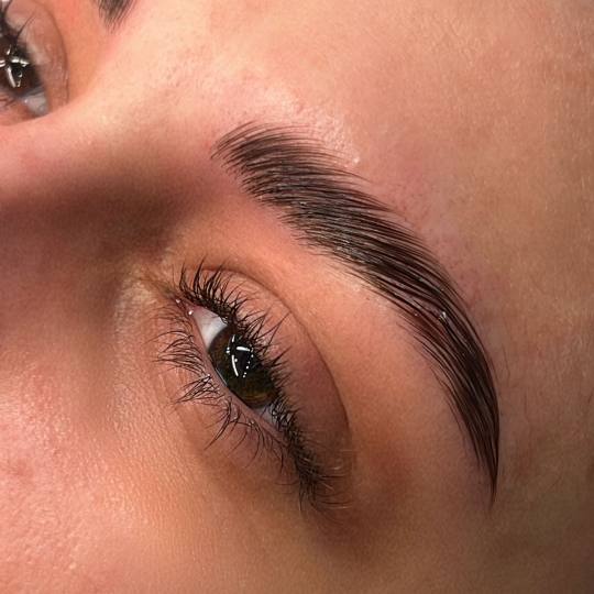 Alexandria Brow&Beauty lounge #beograd Trepavice Lash lift + brow lift