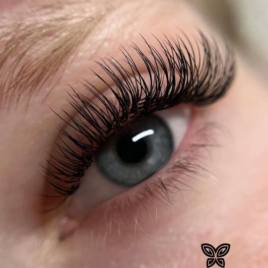 Esthetique Privé #beograd Nadogradnja trepavica Nadogradnja svilenih trepavica - 1 na 1