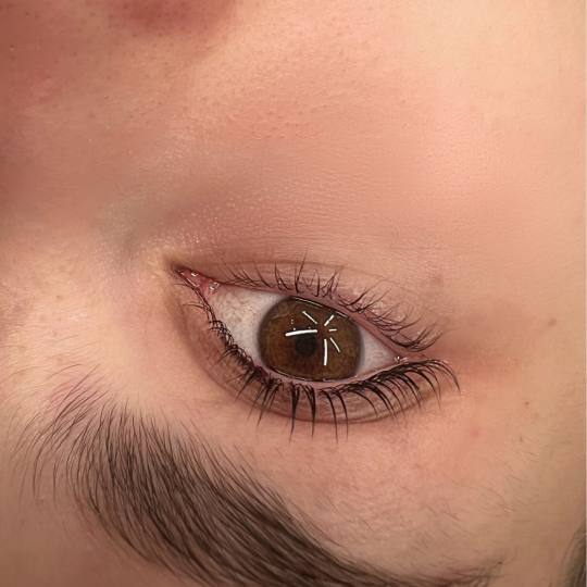 Alexandria Brow&Beauty lounge #beograd Trepavice Lash lift