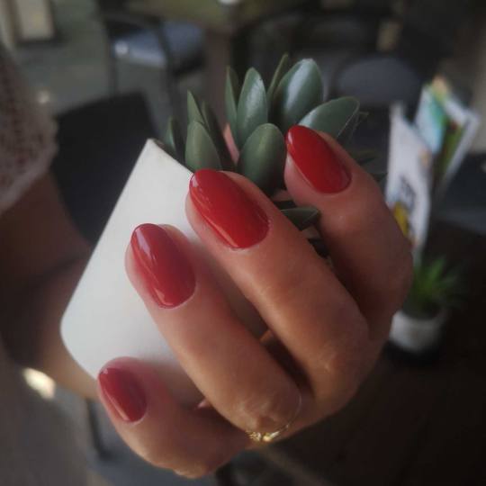 Bibi beauty centar #beograd Gel lak Gel lak - ruke gel lak by BiBi