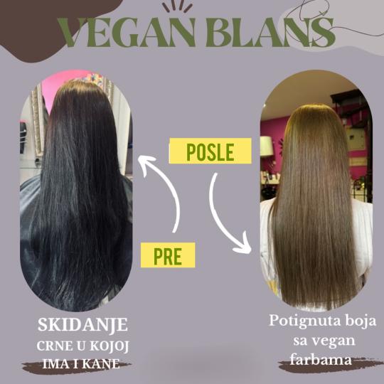 Vegan Darija hair delux #beograd