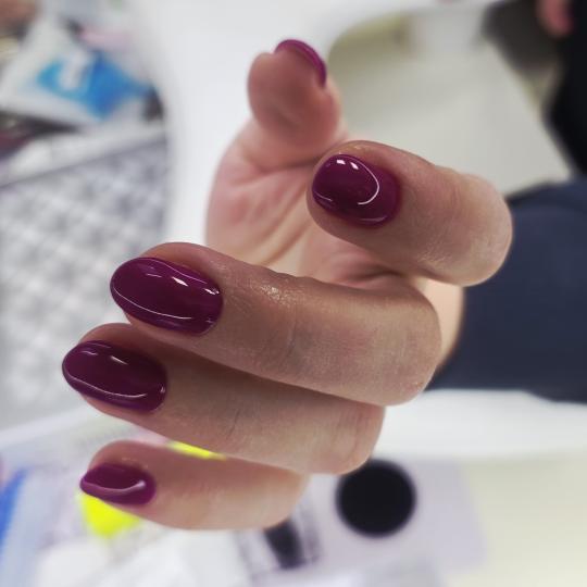 Gospođica Draga usluga