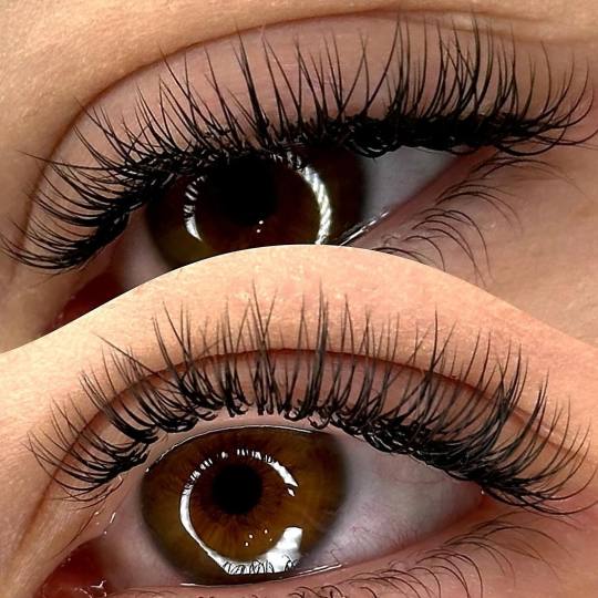 Esthetique Privé #beograd Nadogradnja trepavica Nadogradnja svilenih trepavica - 1 na 1