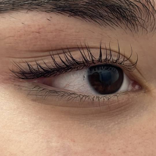 Kod Mačeta #beograd Trepavice Lash lift plus keratin plus farbanje ️