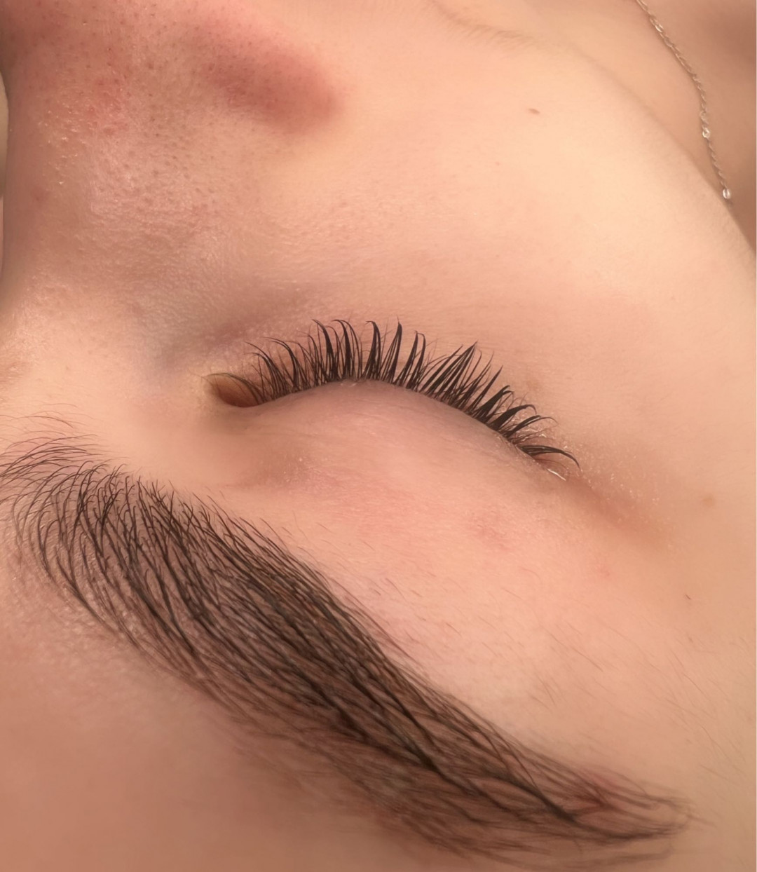 Alexandria Brow&Beauty lounge #beograd Trepavice Lash lift