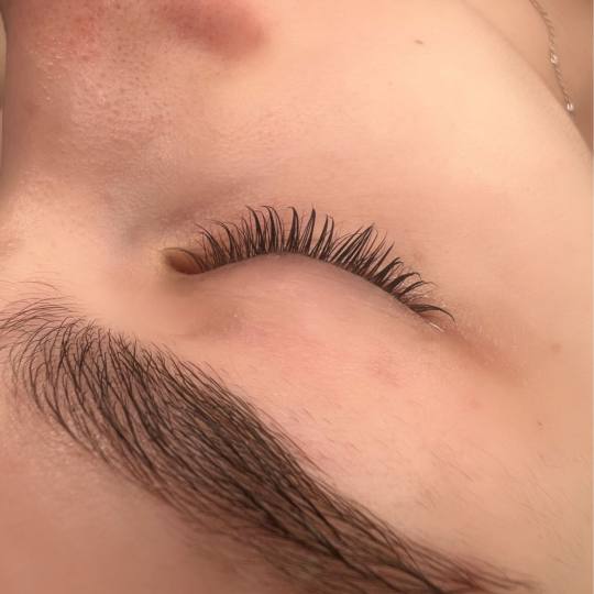 Alexandria Brow&Beauty lounge #beograd Trepavice Lash lift