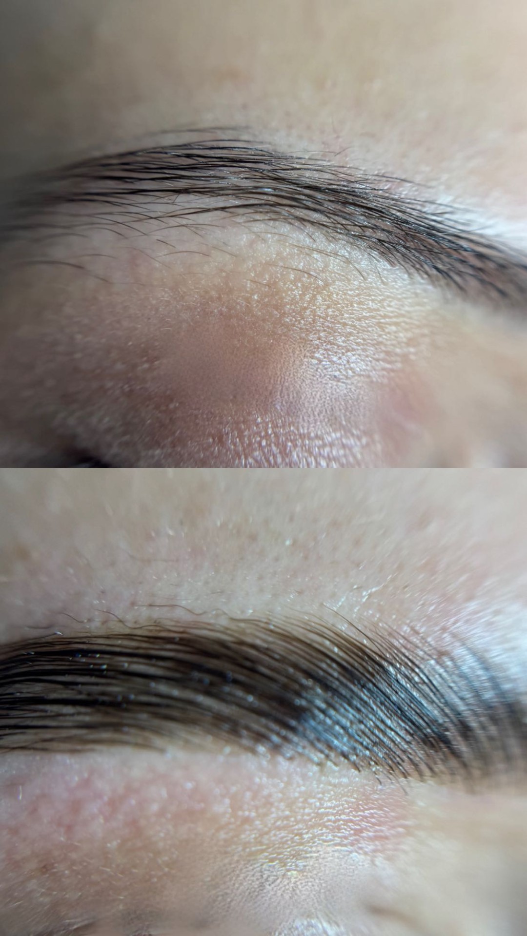 Laminacija obrva + farbanje obrva kanom + botox - Alexandria Brow&Beauty lounge, Beograd Make-up / šminkanje Lice Make-up / šminkanje, Beograd, Centar, Stari grad, Dorćol