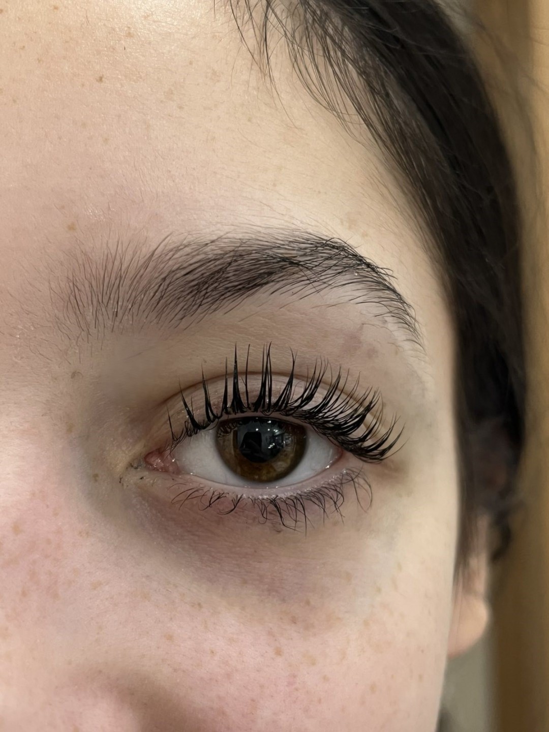 Latina beauty studio #beograd Trepavice Lash lift + botox + farbanje trepavica