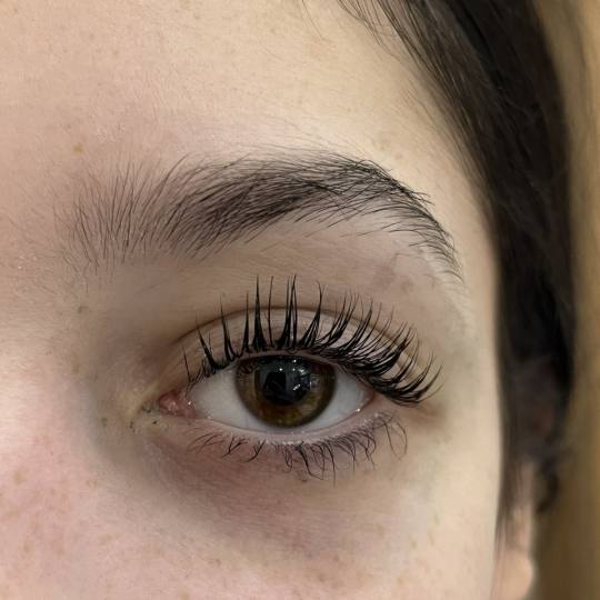 Latina beauty studio #beograd Trepavice Lash lift + botox + farbanje trepavica