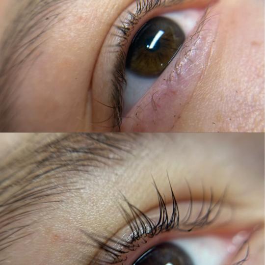Alexandria Brow&Beauty lounge #beograd Trepavice Lash lift