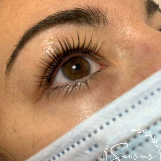 Sensus #beograd Trepavice Lashlift trepavica