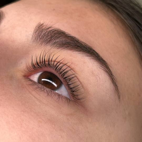 La Hermosa Beauty Studio #beograd Trepavice Lash lift + farbanje trepavica Laminacija trepavica-neka