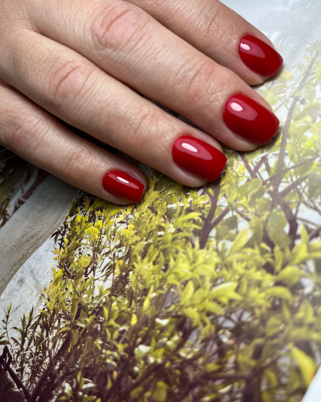 Manikir + gel lak - S dužina - Beauty Studio Asja 2, Novi Sad Lakiranje noktiju Nokti Lakiranje noktiju, Novi Sad, Rotkvarija, Podbara, Salajka
