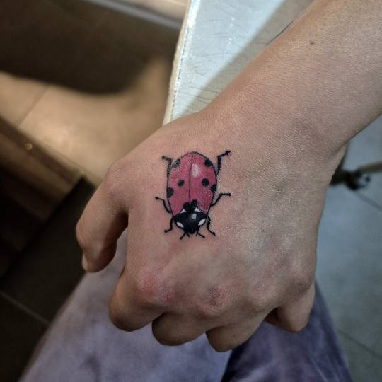 Krispy tattoo & nails #beograd Ostalo Tetovaža 5 x 5 cm - color Color tetovaža-bubamara