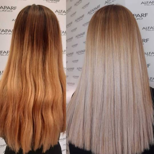 Alfaparf Studio #beograd Ombre, sombre, balayage Balayage / ombre / sombre - ekstra duga kosa