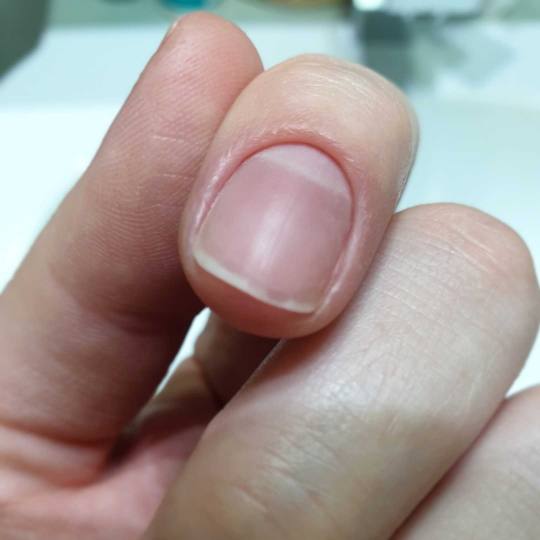 Nail Studio Kućica #beograd Manikir Manikir Shellac + estetski pedikir shellac