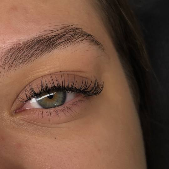 Miss Lash - Nehruova #beograd Nadogradnja trepavica Nadogradnja svilenih trepavica - 1 na 1