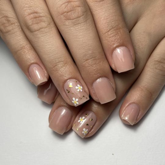 Princess beauty #nis Gel lak Gel lak - ruke