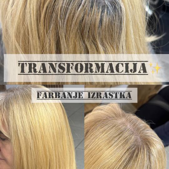 Studio Eleven Ladies&Gentlemen usluga