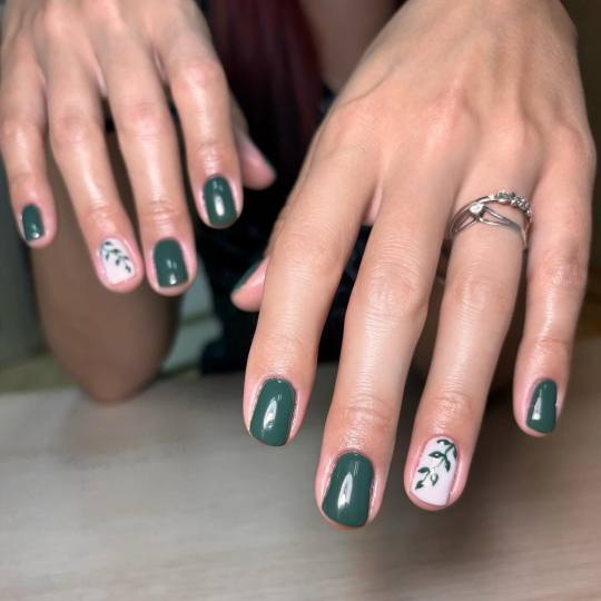 Emaline #novisad Gel lak Gel lak / rubber baza