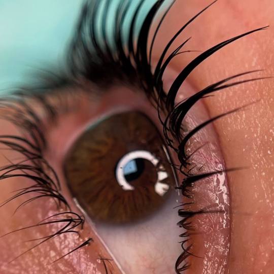 Pudra beauty & cosmetics bar #beograd Trepavice Lash lift